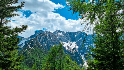 Scenic view through a forest on the summit Jezerska Kocna in Kamnik Savinja Alps in Carinthia, border Austria and Slovenia. Mountain peaks in the Vellacher Kotschna. Mountaineering. Freedom concept