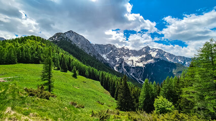 Fototapeta na wymiar Alpine green meadow in spring with scenic view on rocky sharp summits of Kamnik Savinja Alps in Carinthia, border Austria and Slovenia. Mountain peaks in Vellacher Kotschna. Mountaineering. Freedom