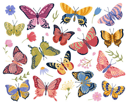 Cartoon Butterfly, Moth Insects, Exotic Flying Butterflies. Elegant Wings Insects, Colorful Moths And Floral Elements Vector Symbols Illustrations Set. Tropical Butterflies Collection