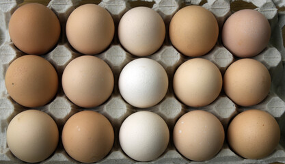Eggs in the carton box. Top down view. 