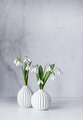 gentle snowdrop flowers in vase on table, abstract marble background. Blossoming white snowdrops, symbol of spring season. freshness aroma, harmony of nature