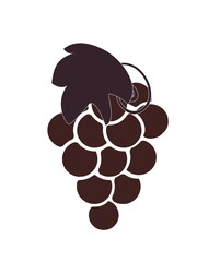 illustration of grapes