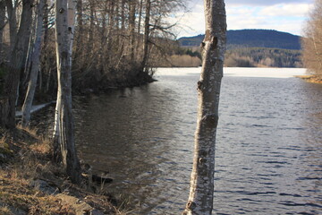 trees against the backdrop of mountains and water - Eiksmarka, Bogstadvannet
