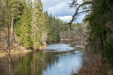 View to the river Salaca from high sandstone cliff in Skanaiskalns Nature park in April in Mazsalaca in Latvia