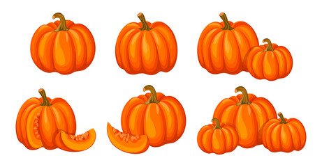 Set of fresh orange pumpkins in cartoon style. Vector illustration of holiday halloween vegetables whole and cut into slices and halves, large and small sizes on white background.