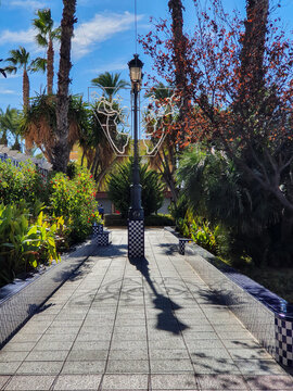 Vega Baja del Segura - Torrevieja - Pasando por calles, plazas, parques y rotondas.