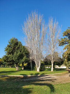 Vega Baja del Segura - Torrevieja - Pasando por calles, plazas, parques y rotondas.