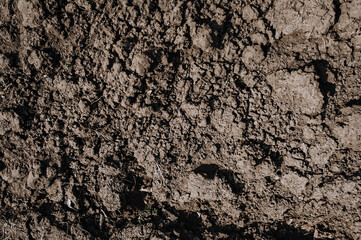 Background, texture of dug up earth, soil. Chernozem, top view.