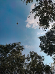 Flying plane