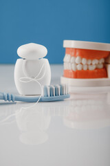 Model of a human jaw with toothbrush and dental floss on a blue background. Vertical image. Oral hygiene concept