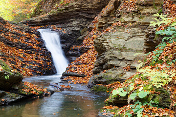 Leaf fall on beautiful mountain waterfall  at autumn. Carpathians. Ukraine.