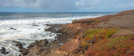 Rocky coastline at Fiscalini Ranch Preserve on the Rugged Central California coastline at Cambria California United States