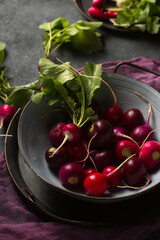multi-colored radish in a gray bowl on a dark background
