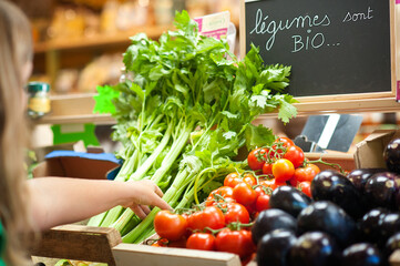 Organic vegetables in an organic store: celery tomatoes eggplants.