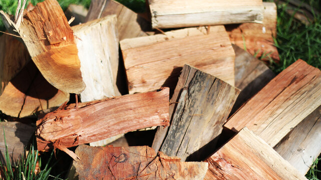 fondo le&ntilde;a madera