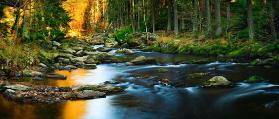 The calm water flows along the rocky bed of the mountain river, the rocks covered with moss are visible on a sunny day.