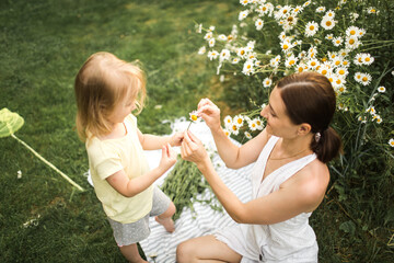 mother plays with her daughter, relax, collect daisies