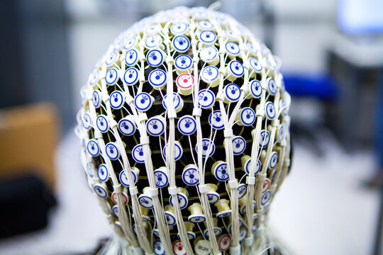 Study of the activity of neurons in the brain.