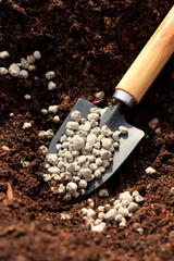 Mineral fertilizers in granules on a shovel against the background of the soil. The concept of...