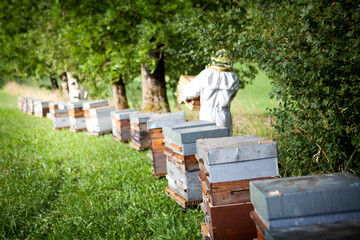 Harvesting honey from a beekeeper in France.