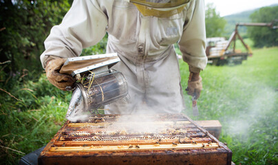 Harvesting honey from a beekeeper in France. - Powered by Adobe