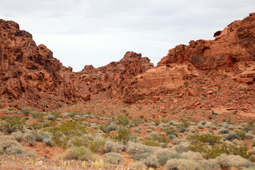 Fototapeta premium Valley of fire - Nationalpark (USA)
