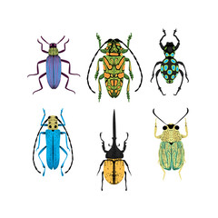 Bug species and exotic beetles icons collection. Various insects set with as Goliath beetle, Frog-legged, Ladybug, Hercules, Tortoise, Colorado potato, Giraffe weevil and other strange bugs in flat.