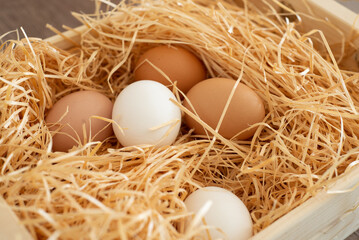 Fresh eggs in hay 