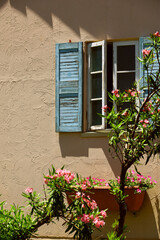 Fototapeta na wymiar Oleander blooming on the windowsill of a rural house in southern France