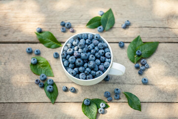 Obraz na płótnie Canvas A bowl with fresh bilberry (Vaccinium myrtillus) on an old wooden bench. Fresh garden blueberries.