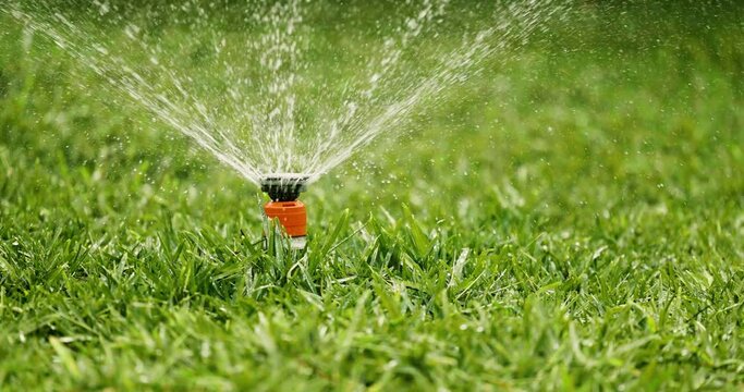 automatic garden lawn sprinkler. watering grass in yard