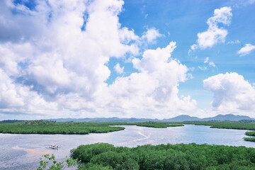 Beautiful landscape with green mangroves sea lagoon, National Park, Siargao Island, Philippines.