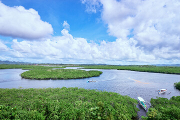 Beautiful landscape with green mangroves sea lagoon, National Park, Siargao Island, Philippines.