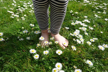 nackte Kinderfüsse auf einer Wiese mit Gänseblümchen © etfoto