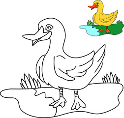 vector drawing of cartoon duck, for coloring book.