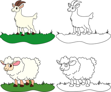 vector drawing of cartoon goat and sheep, for coloring book.