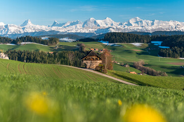 view from Emmental over the Bernese Alps