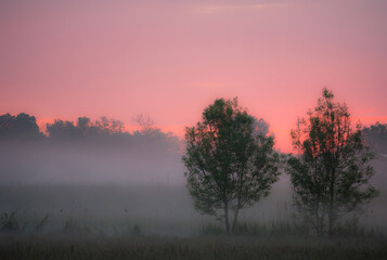 Obraz premium Sonnenaufgang