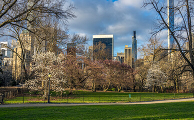 Obraz premium Central Park in spring
