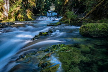 Fototapeta na wymiar waterfall and cascades in the forest