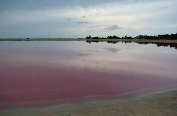Pink lagoon with sunset, Las Coloradas, Yucatan, Mexico.
