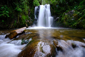 Beautiful landscape of inter-Andean forest where a stream of water runs that forms waterfalls and a small river.