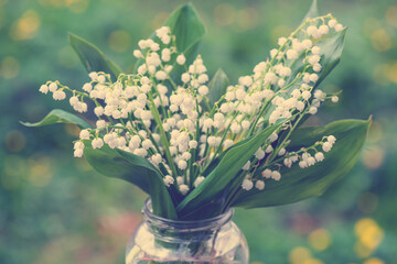 lily of the valley. Bouquet of lily of valley flowers standing in vase against background of green forest close-up macro.