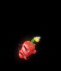 Falling cut strawberry with juice splash - Black background - Exotic butterfly