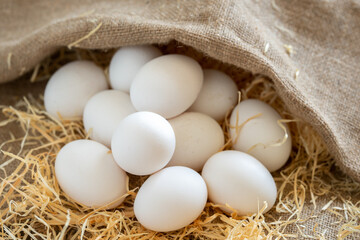 White chicken eggs covered with burlap sackcloth on hay or straw