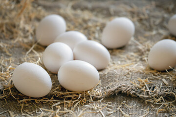White chicken eggs in the straw nest on a burlap on wooden boards