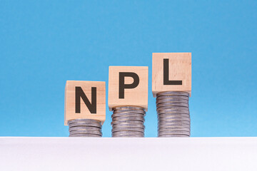 npl - text on wood cubes stack with coins