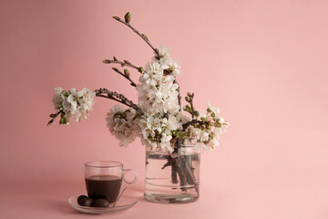 transparent cup of coffee next to a glass vase with flowering spring branches on a pink background