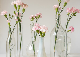 Close up of pink carnations in small white vase in foreground with more flowers in bottles in...