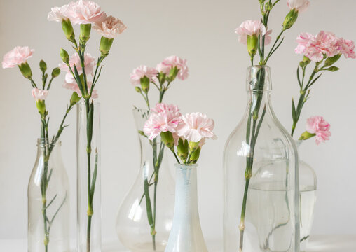 Close up of pink carnations in small white vase in foreground with more flowers in bottles in background (selective focus)